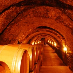Winebus - On the urderground caves of Bodegas Ismael Arroyo in Sotillo de la Ribera (Ribera del Duero)