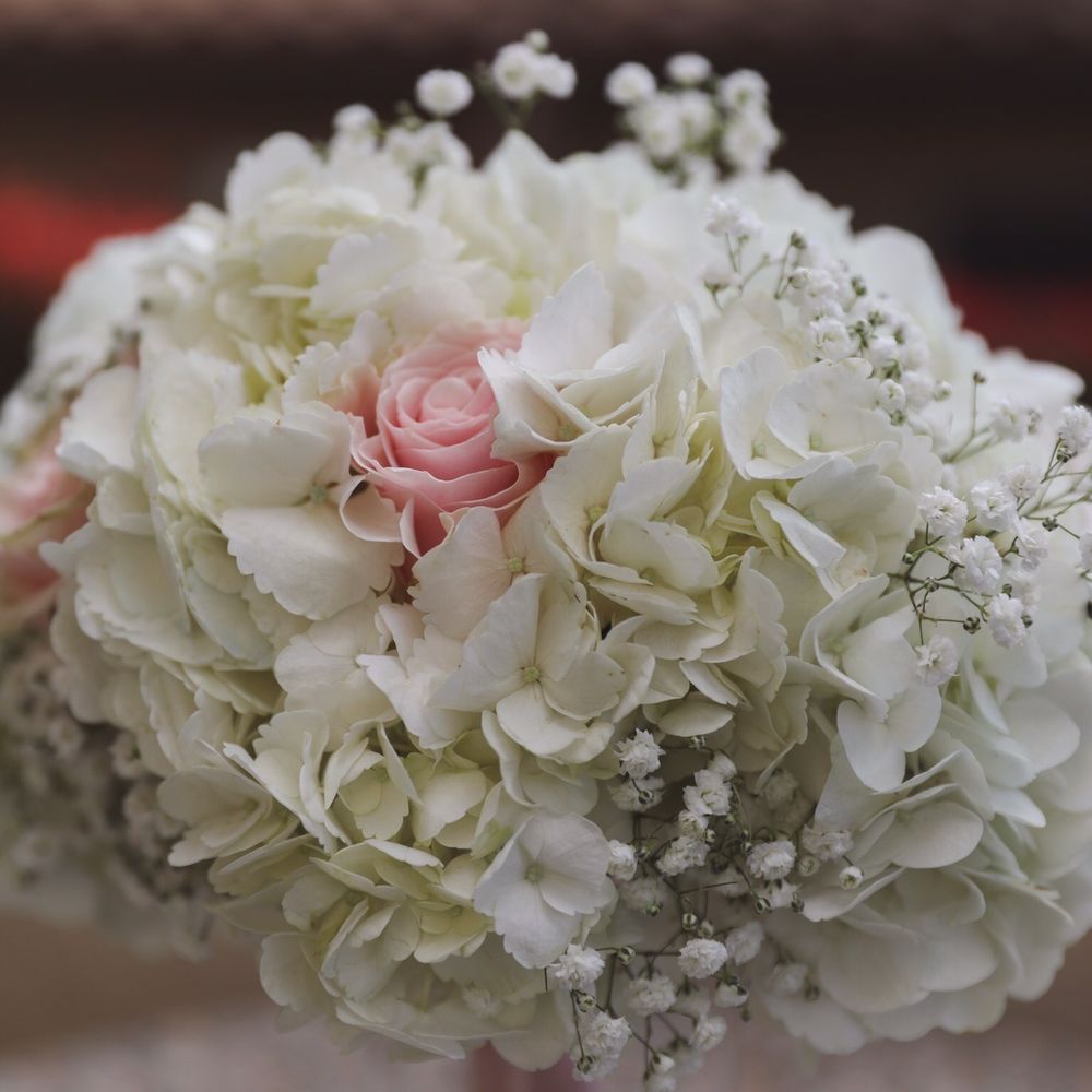 Franco's Flowers - Florists Near Me - Encinitas, California