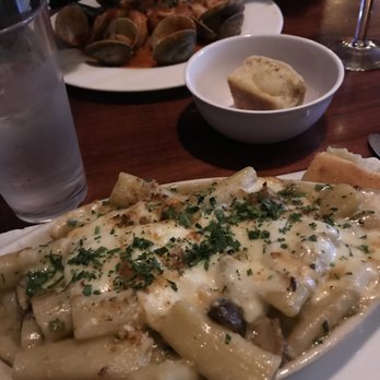 Carmelina's - Mushroom Rigatoni - Italian Near Me - Boston, Massachusetts Carmelina's - Mushroom Rigatoni - Italian Near Me - Boston, Massachusetts