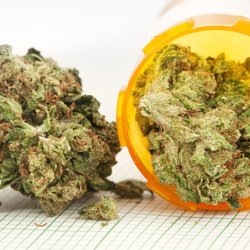 Dream Dispensary - Medical Cannabis provider