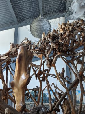 North Carolina Estuarium by null