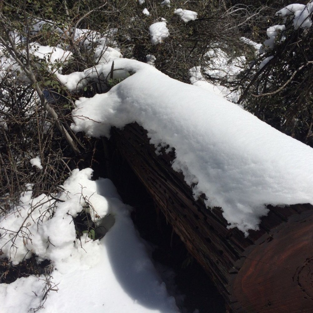 Palomar Mountain-Observatory Trail - Observatories Near Me