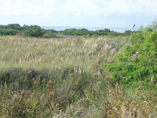 Laguna Madre Nature Trail by null