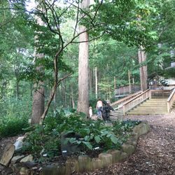 Locust Grove Nature Center - Lots of bird feeders- great for bird watching
