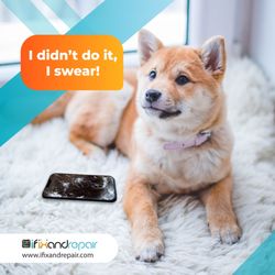 I Fix and Repair