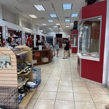 Puppies N Love - Interior - Pet Stores Near Me - Gilbert, Arizona Puppies N Love - Interior - Pet Stores Near Me - Gilbert, Arizona