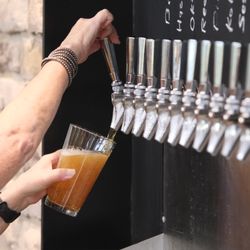 Loco Lion - Bartender pouring Nigel's Bitter & Twisted Ale