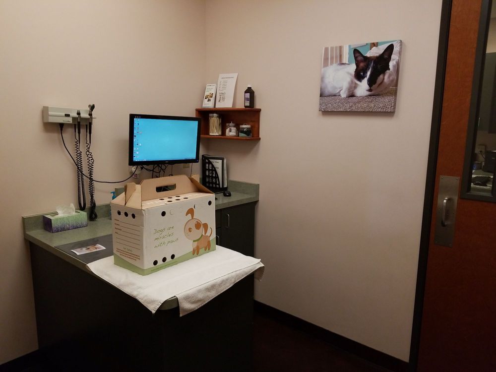 OASIS ANIMAL HOSPITAL 56 Photos & 112 Reviews Veterinarians 1025