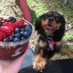 Alliance for the Arts Green Market - Dog friendly Too! (once they are on a leash)