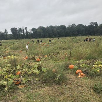 Shady Brook Farm - Farmers Market Near Me - Yardley, Pennsylvania