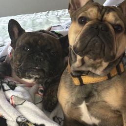 Cupcake & Milo Cupcake & Milo