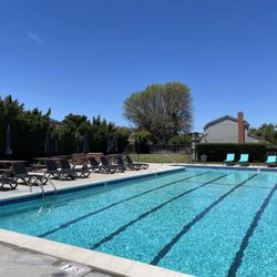 Main Pool
