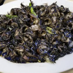 Ocean Bay - Squid