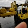 Photo of Rickey's Gold Country Moving