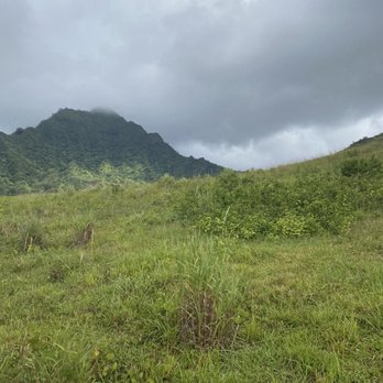 Kualoa Ranch - Tours Near Me - Kaneohe, Hawaii Kualoa Ranch - Tours Near Me - Kaneohe, Hawaii