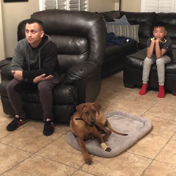 K9 Logic Dog Training - First night home! Calm and not jumping on us! - Pet Training Near Me - Glendale, California K9 Logic Dog Training - First night home! Calm and not jumping on us! - Pet Training Near Me - Glendale, California