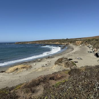 Elephant Seal Vista Point - Elephant seals in beach - Beaches Near Me - San Simeon, California Elephant Seal Vista Point - Elephant seals in beach - Beaches Near Me - San Simeon, California
