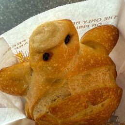 Sourdough Turtle Sourdough Turtle