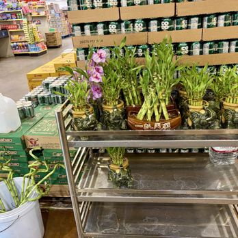 MT Supermarket - International Grocery Near Me - Austin, Texas