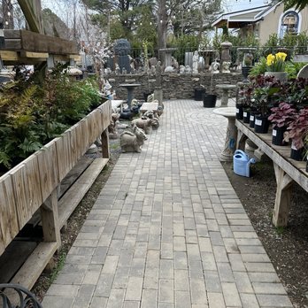 Pots & Plants - Nurseries & Gardening Near Me - Great Falls, Virginia