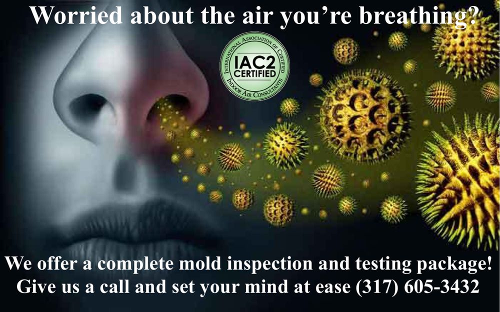 MC2 Inspections - mold inspector in New Palestine, IN