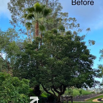 JJ Tree service - Tree Services Near Me