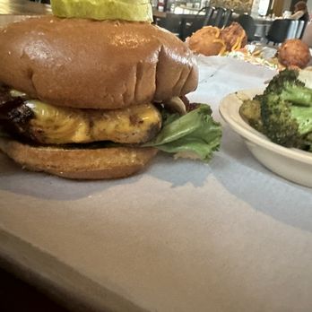 1937 Spirits & Eatery - Blackened chicken sandwhich add fried green tomato - Cocktail Bars Near Me - Jacksonville, Florida 1937 Spirits & Eatery - Blackened chicken sandwhich add fried green tomato - Cocktail Bars Near Me - Jacksonville, Florida