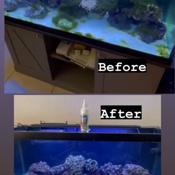 Langzfragz - Aquarium Services Near Me Langzfragz - Aquarium Services Near Me