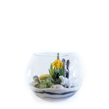 Azure Design - a glass bowl filled with plants - Home Decor Near Me - Miami, Florida Azure Design - a glass bowl filled with plants - Home Decor Near Me - Miami, Florida