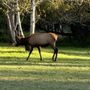 Photo of Wapiti RV Park