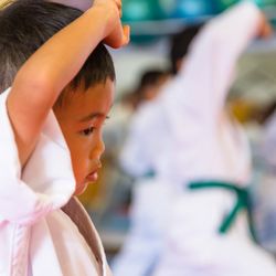 Japan International Karate Center - Aiea