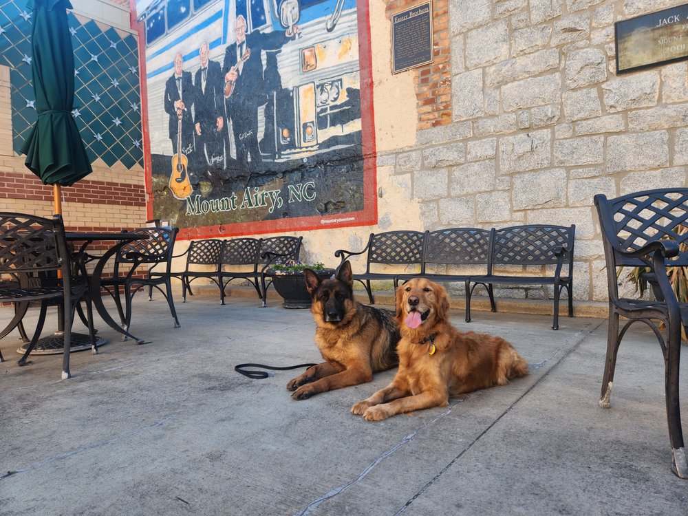 TRI CITY CANINE Request Consultation 404 Ollie Harkey Rd