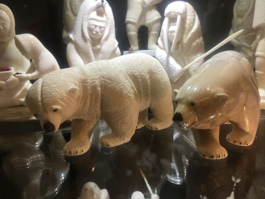 Arctic Spirit Gallery by null