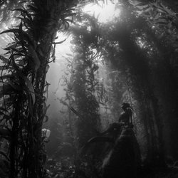 MBAY Freediving