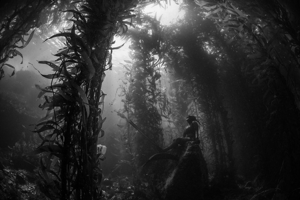 MBAY Freediving Logo