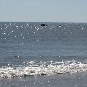 False Cape State Park - Parks Near Me - Virginia Beach, Virginia False Cape State Park - Parks Near Me - Virginia Beach, Virginia