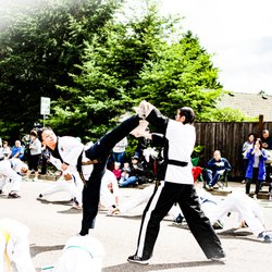 The Way Martial Arts Center - Parade demo