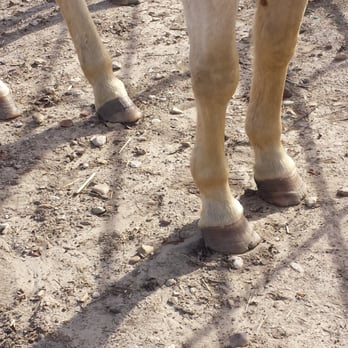 BROKEN BOW RANCH - Updated March 2026 - 45 Photos & 62 Reviews - 1755 E ...