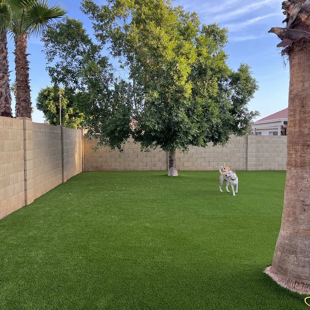 Legacy Green Solutions - The pups love it!! - Landscaping Near Me - Mesa, Arizona