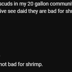 Father Fish Aquarium