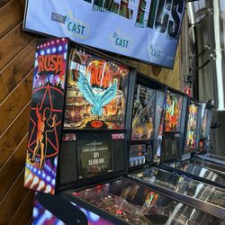 Almanac Adventureland - Pinball