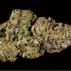 Hazel Caregivers - Hazel og kush from Hazel collective in Encino