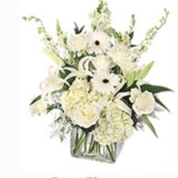 The stock image of the arrangement...notice how WHITE it is, as well as the full-sized Roses, Gerber Daisies, Lillies, etc. The stock image of the arrangement...notice how WHITE it is, as well as the full-sized Roses, Gerber Daisies, Lillies, etc.