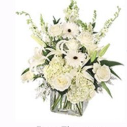 The Flower Box - The stock image of the arrangement...notice how WHITE it  is, as well as the full-sized Roses, Gerber Daisies, Lillies, etc.