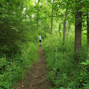 Leslie Science & Nature Center - The trail leading to the pond, we went about 1/2 way as we forgot to apply bug spray and it was dense in spots - Hiking Near Me - Ann Arbor, Michigan Leslie Science & Nature Center - The trail leading to the pond, we went about 1/2 way as we forgot to apply bug spray and it was dense in spots - Hiking Near Me - Ann Arbor, Michigan