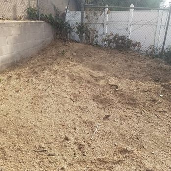 H & E Tree Service - Stump completely gone !!!! - Tree Services Near Me