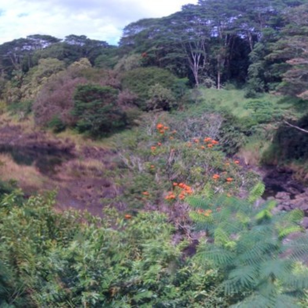 Pe'epe'e Falls & Boiling Pots - Parks Near Me - Hilo, Hawaii Pe'epe'e Falls & Boiling Pots - Parks Near Me - Hilo, Hawaii
