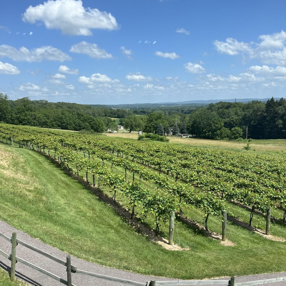 Baraboo Bluff Winery - lovely! - Wineries Near Me - Baraboo, Wisconsin Baraboo Bluff Winery - lovely! - Wineries Near Me - Baraboo, Wisconsin