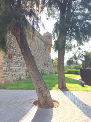 Es Baluard Museu d'Art Contemporani de Palma by null