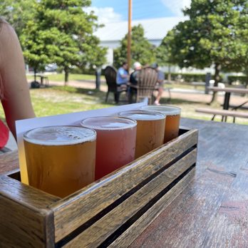 Grove Roots Brewing Co - Beer flight - Breweries Near Me - Winter Haven, Florida